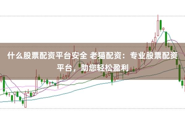 什么股票配资平台安全 老猫配资：专业股票配资平台，助您轻松盈利