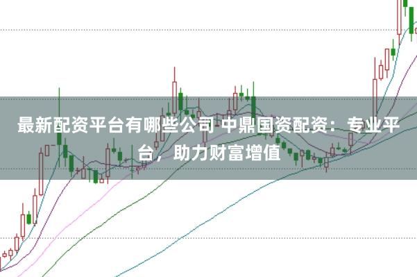 最新配资平台有哪些公司 中鼎国资配资：专业平台，助力财富增值