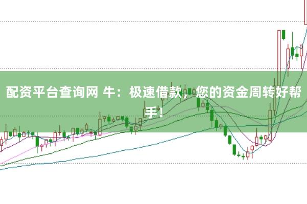配资平台查询网 牛：极速借款，您的资金周转好帮手！
