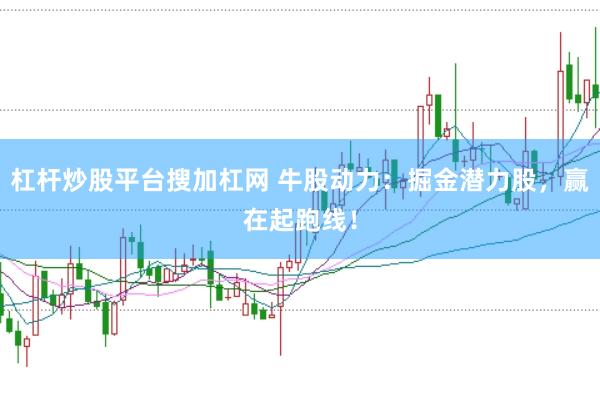 杠杆炒股平台搜加杠网 牛股动力：掘金潜力股，赢在起跑线！
