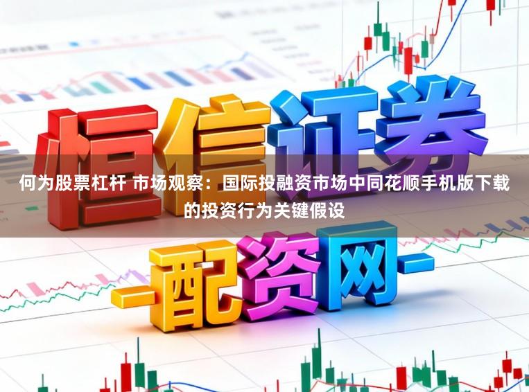 何为股票杠杆 市场观察：国际投融资市场中同花顺手机版下载的投资行为关键假设