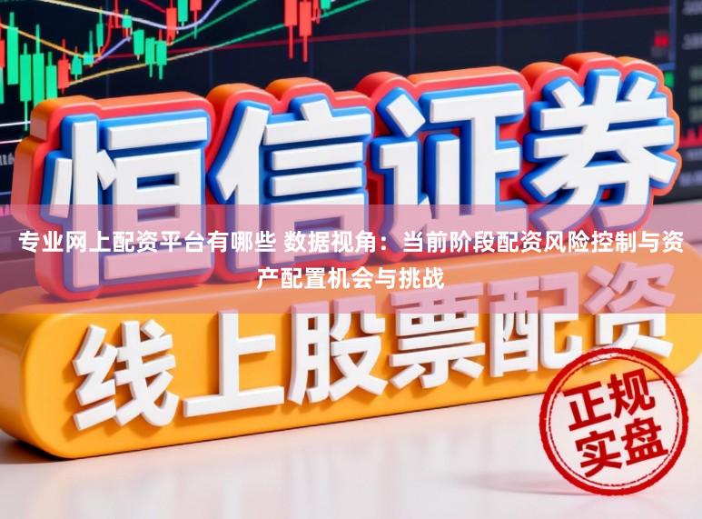 专业网上配资平台有哪些 数据视角：当前阶段配资风险控制与资产配置机会与挑战